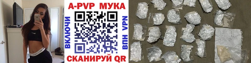 даркнет сайт  Чудово  A PVP мука 