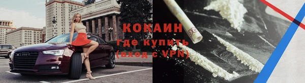 spice Краснослободск