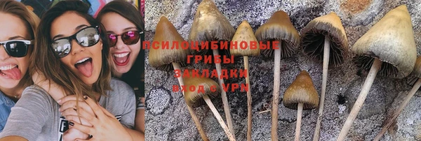 дживик Кукмор