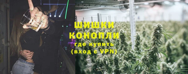 spice Краснослободск